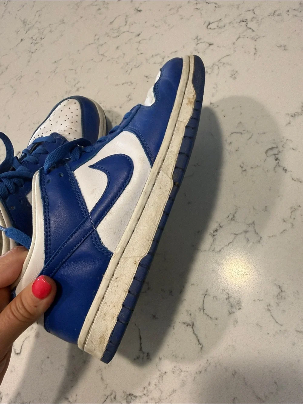 Nike Blue and White Low-Top Sneakers